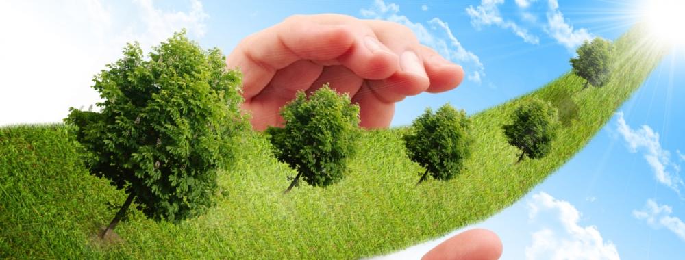 Hand, the line of grass,.jpg